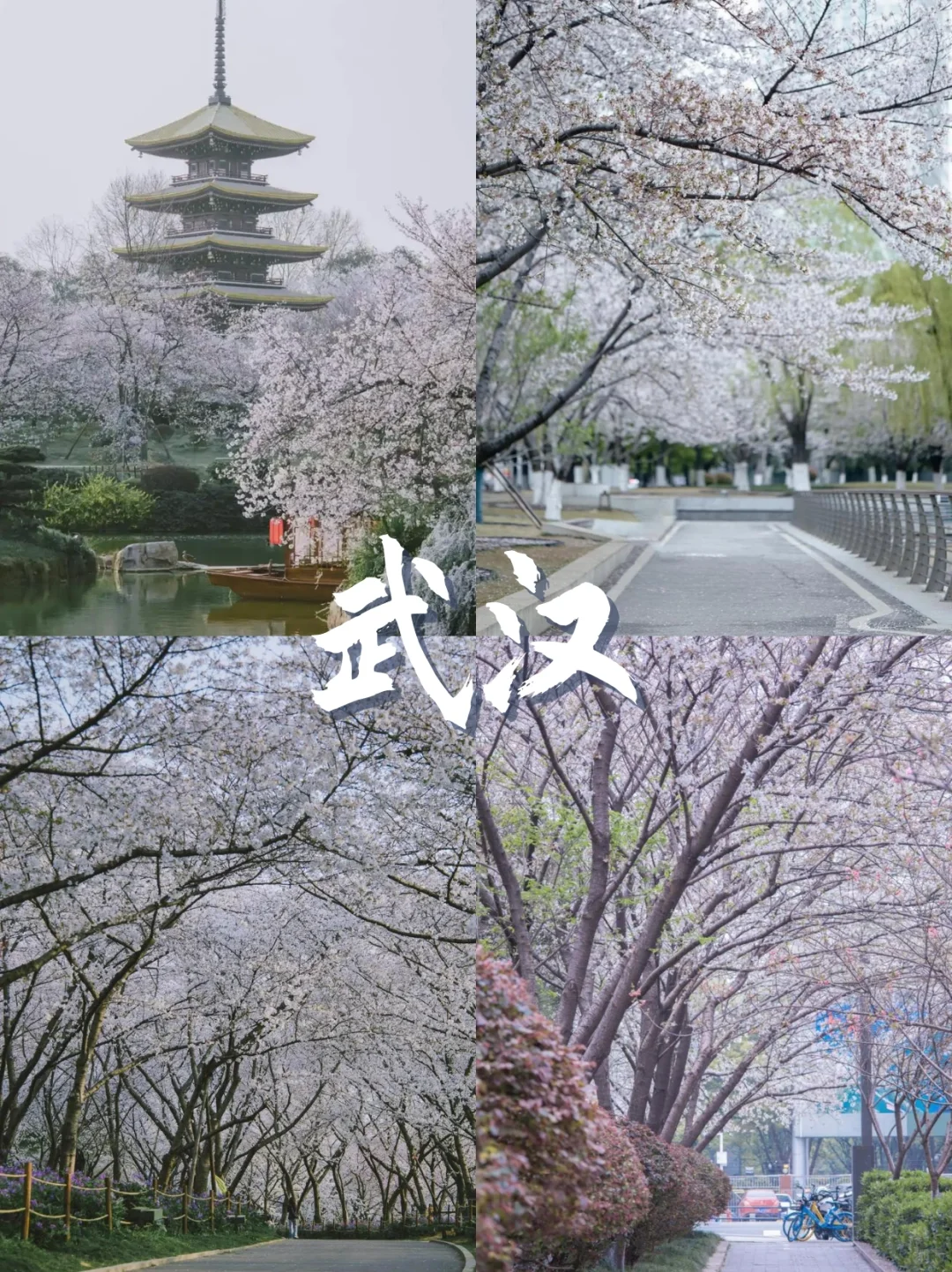 三月份适合初春旅游的五个城市！✨