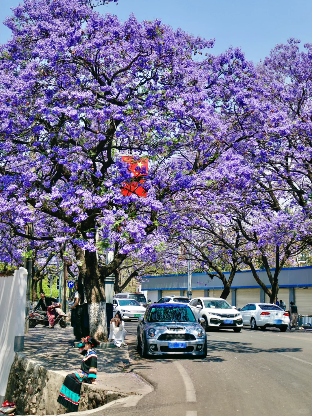 💜接下来的西昌是一万次的春和景明!附攻略!