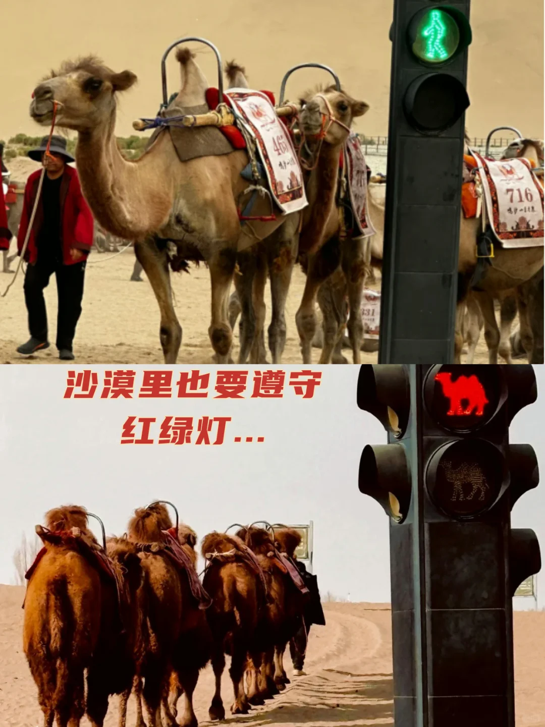 敦煌旅游最新通知！3.20开始执行！