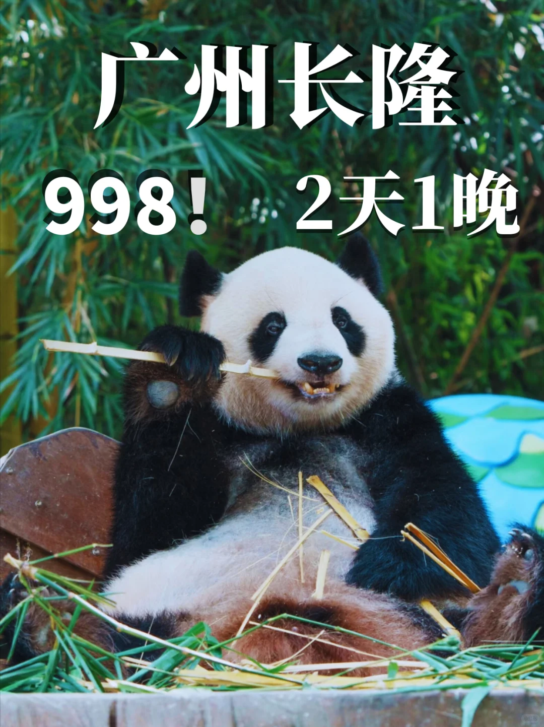 🌟广州长隆2天1晚超值攻略人均500元