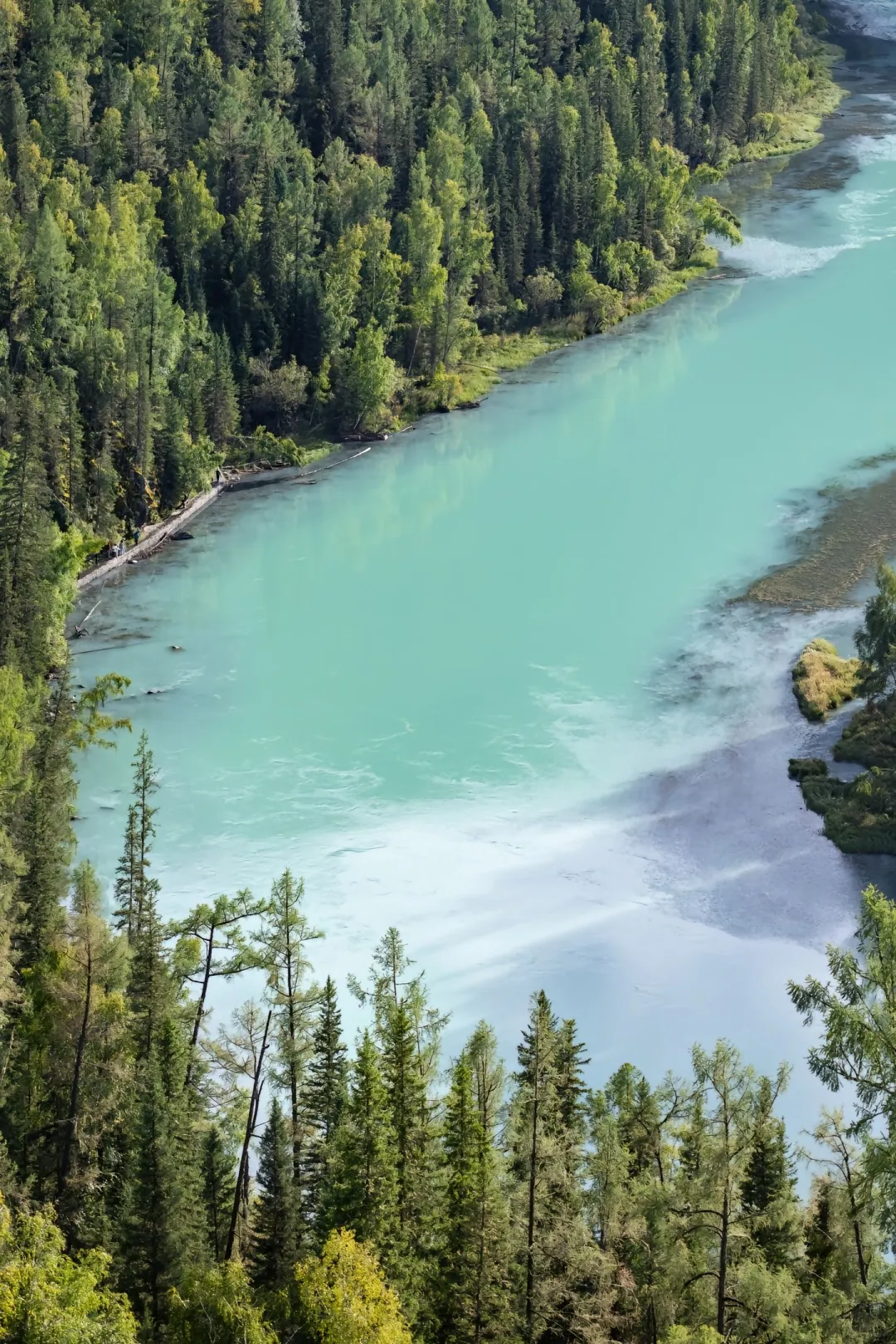 考察后，讲点新疆旅游的现状【跟团游#1】