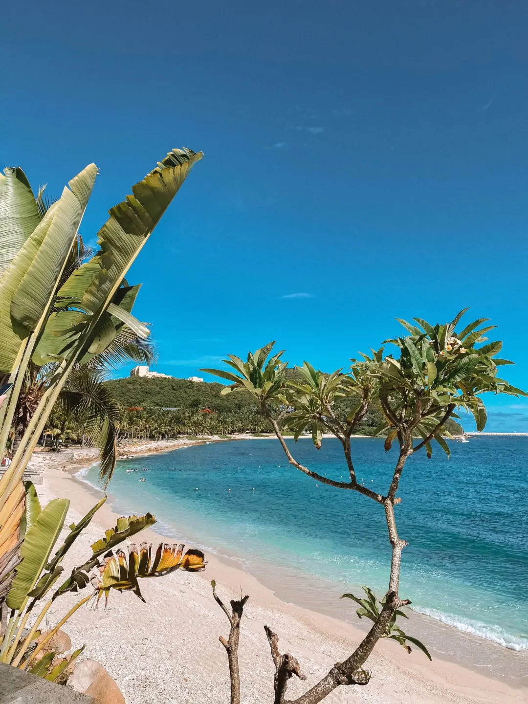 内部人总结，三亚酒店实用版攻略，都是干货❗️