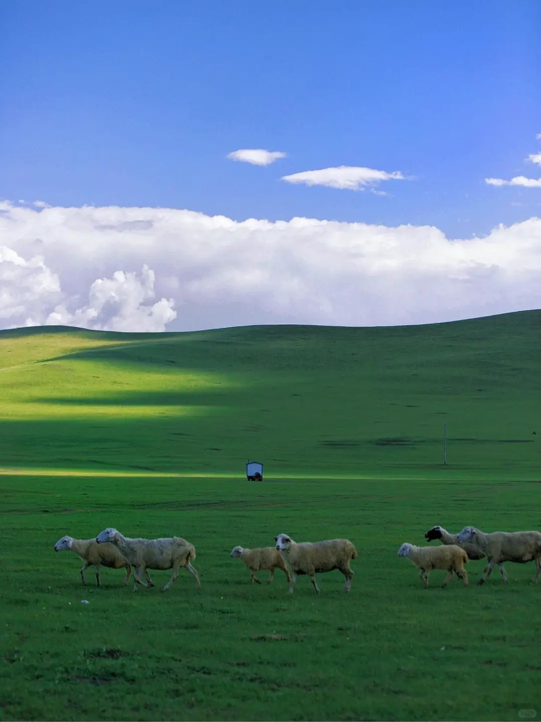 以为阿勒泰已经够美了，直到我去了内蒙古...