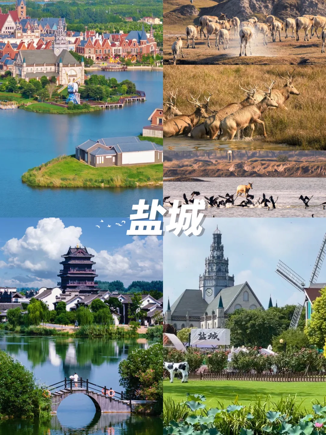 清明避开人潮‼️6个小众旅游城市推荐👏