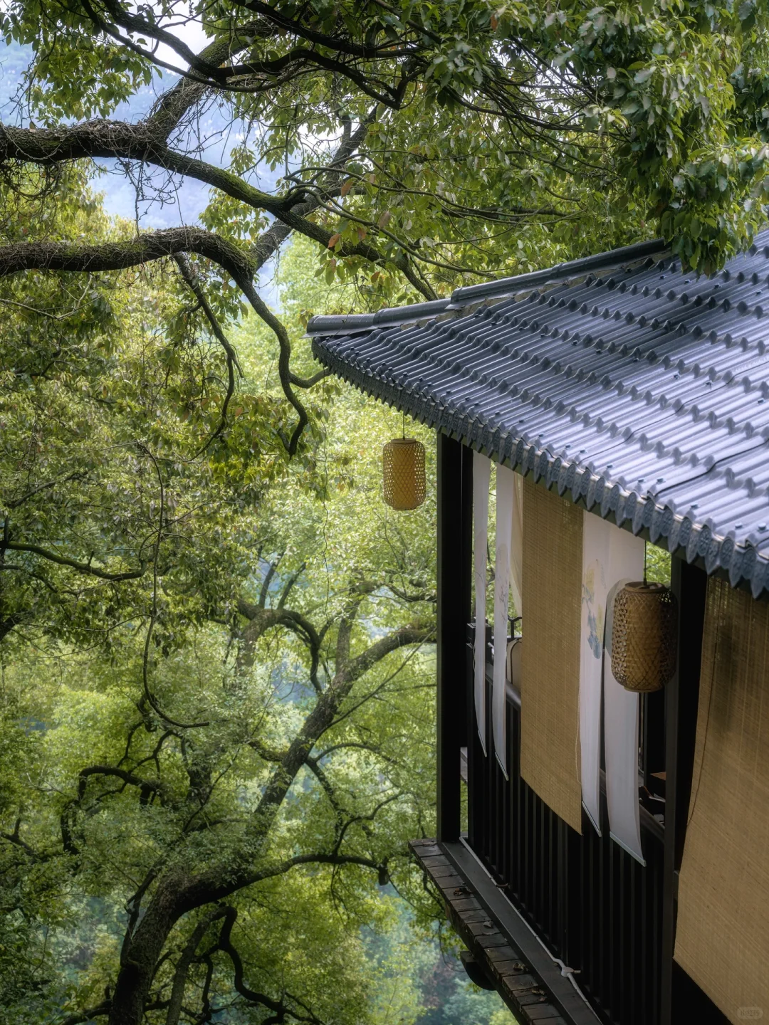 为了这18张图❗️我飞了一趟重庆(附机位攻略)