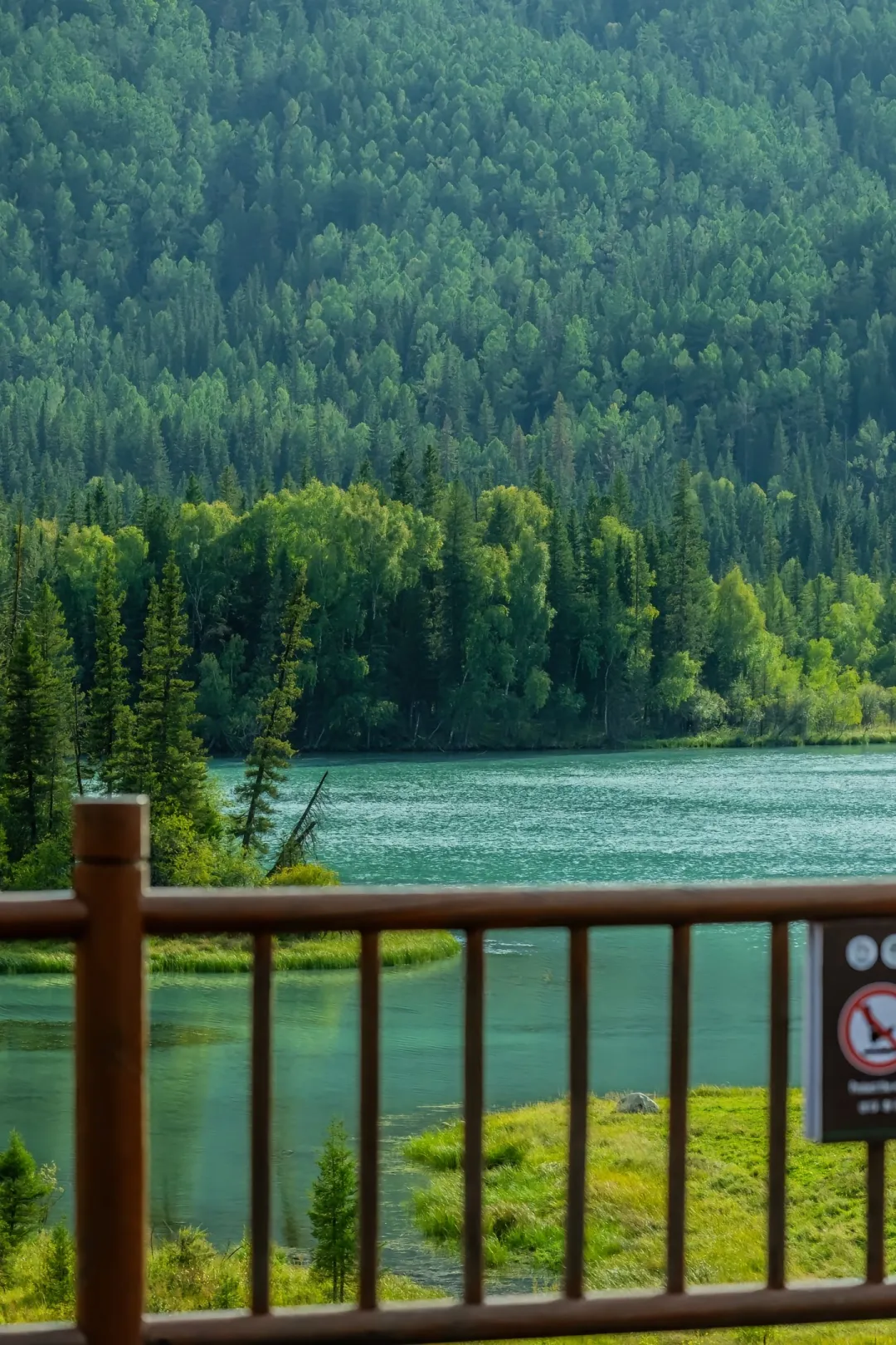 考察后，讲点新疆旅游的现状【跟团游#1】