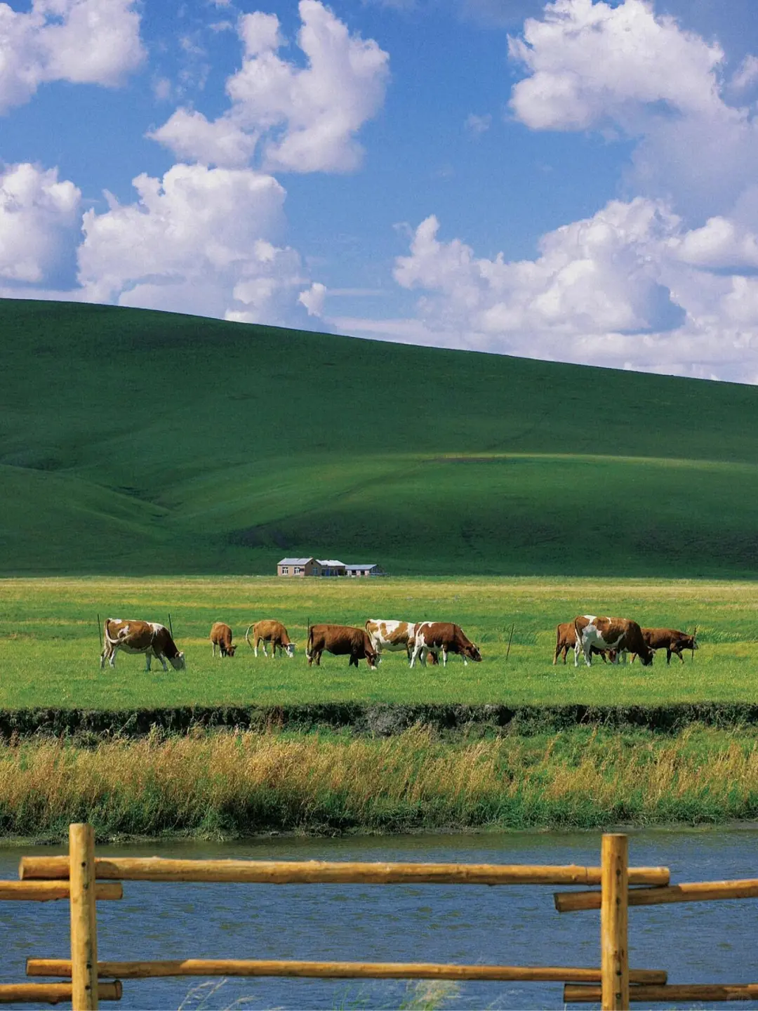 以为阿勒泰已经够美了，直到我去了内蒙古...