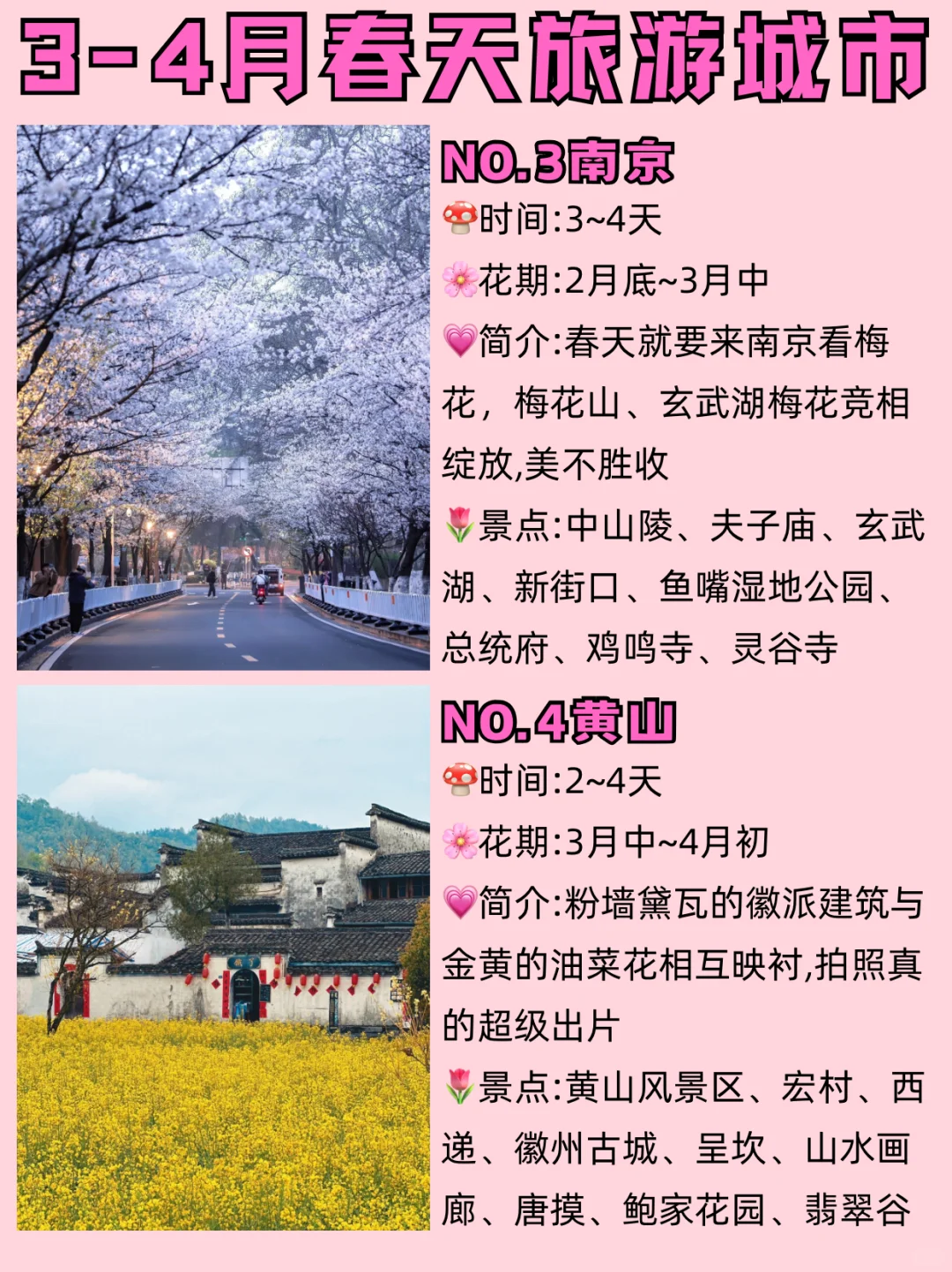 赏花漫游🌸适合3-4月春季旅游的十个城市