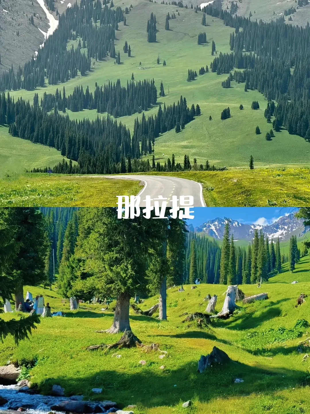  北疆伊利环线不用做攻略‼️7天包车游攻略