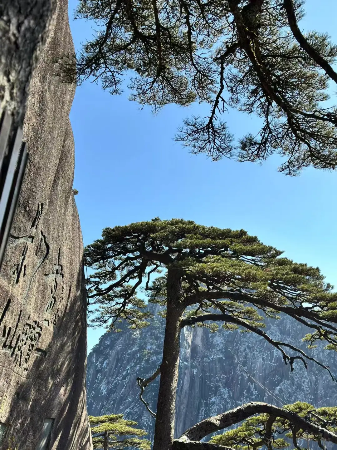 ⛰不枉此行！黄山一天速通攻略（懒人版！）