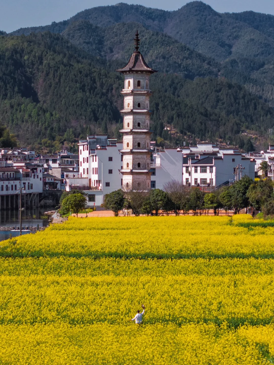 迄今为止，江西我最喜欢的春日旅行地出现了‼