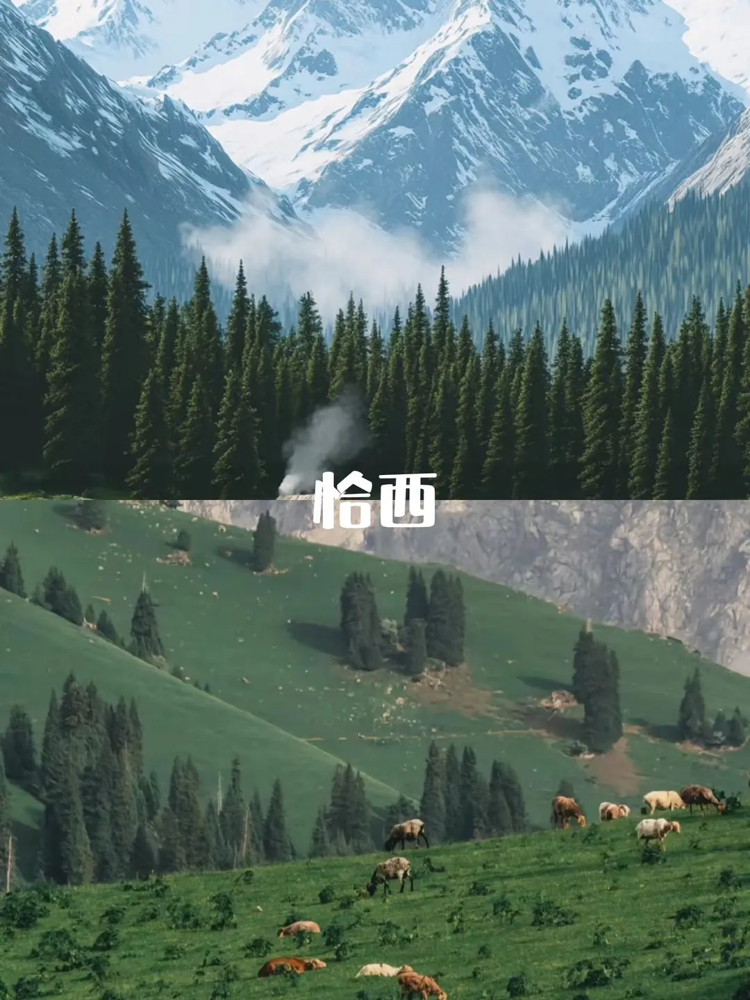  北疆伊利环线不用做攻略‼️7天包车游攻略