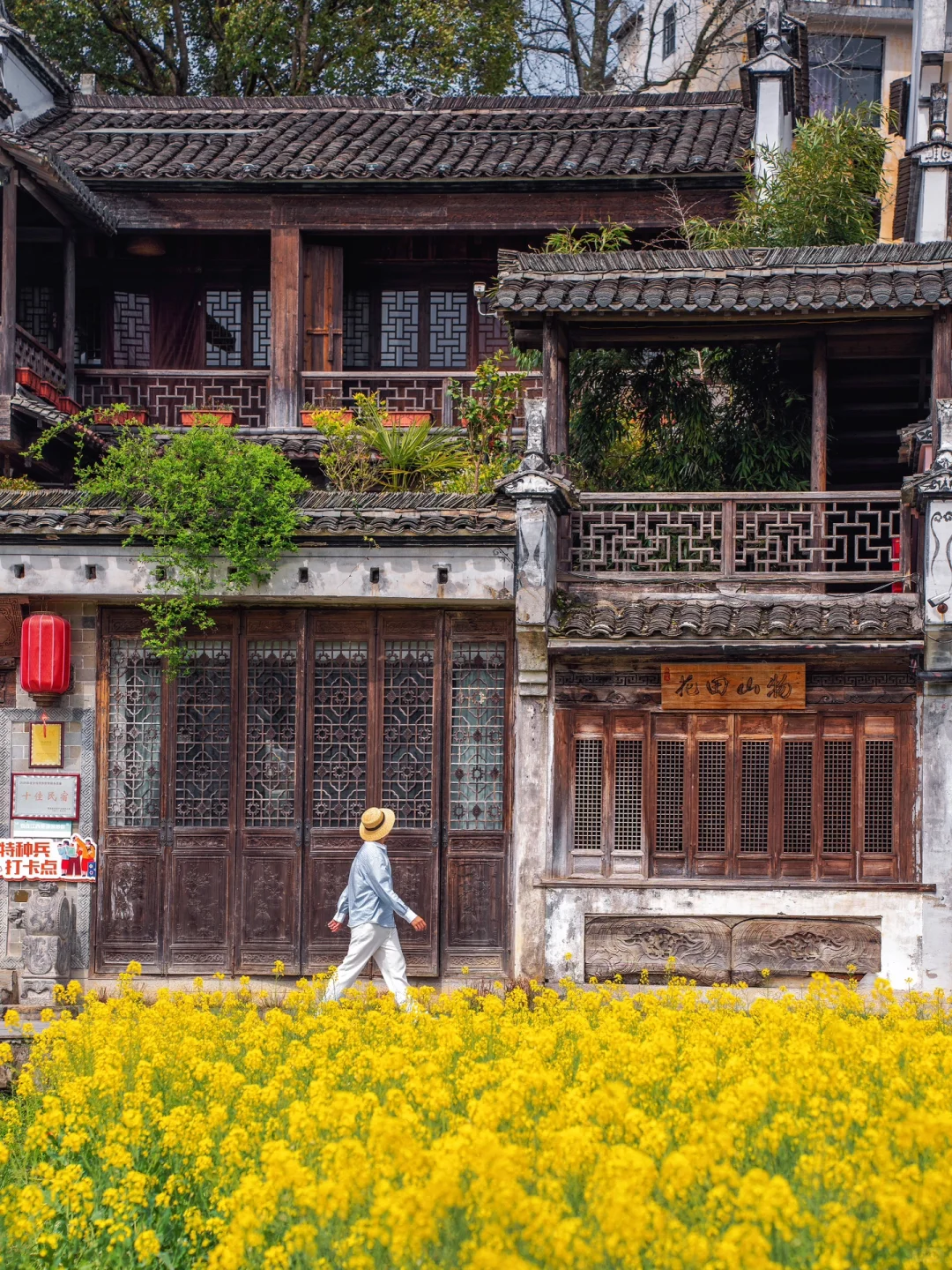 迄今为止，江西我最喜欢的春日旅行地出现了‼