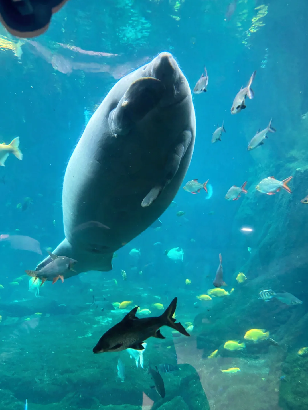 年终大促预定长隆酒店套票,比门票还便宜⁉