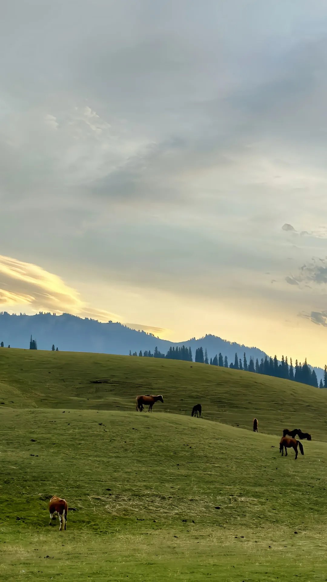 比阿勒泰便宜五倍，内蒙一处被低估的小众地