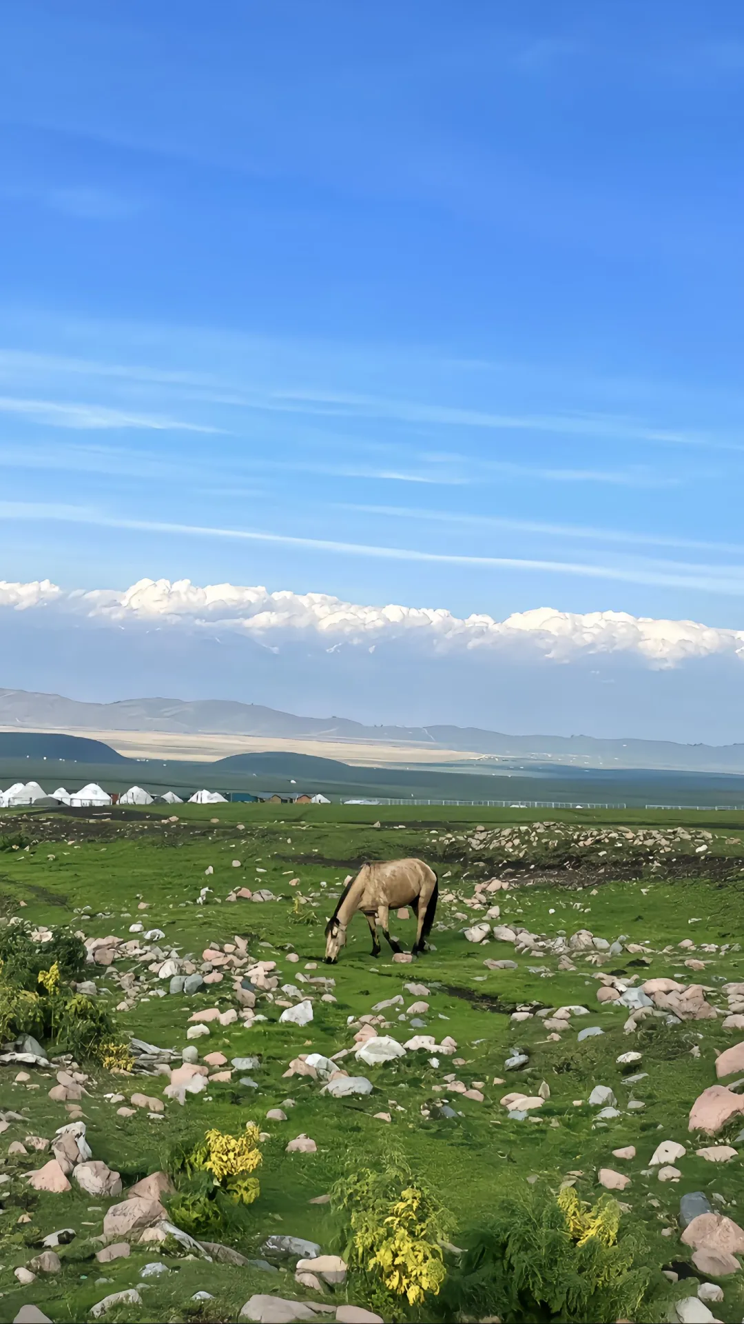 比阿勒泰便宜五倍，内蒙一处被低估的小众地