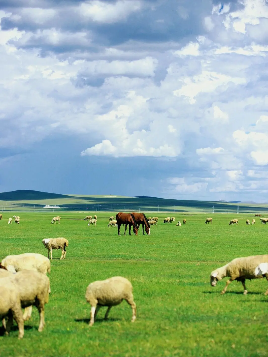 以为阿勒泰已经够美了，直到我去了内蒙古...