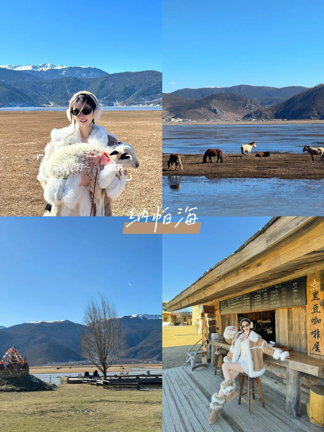 情侣云南旅游👫七天花了2600💰行程分享‼️