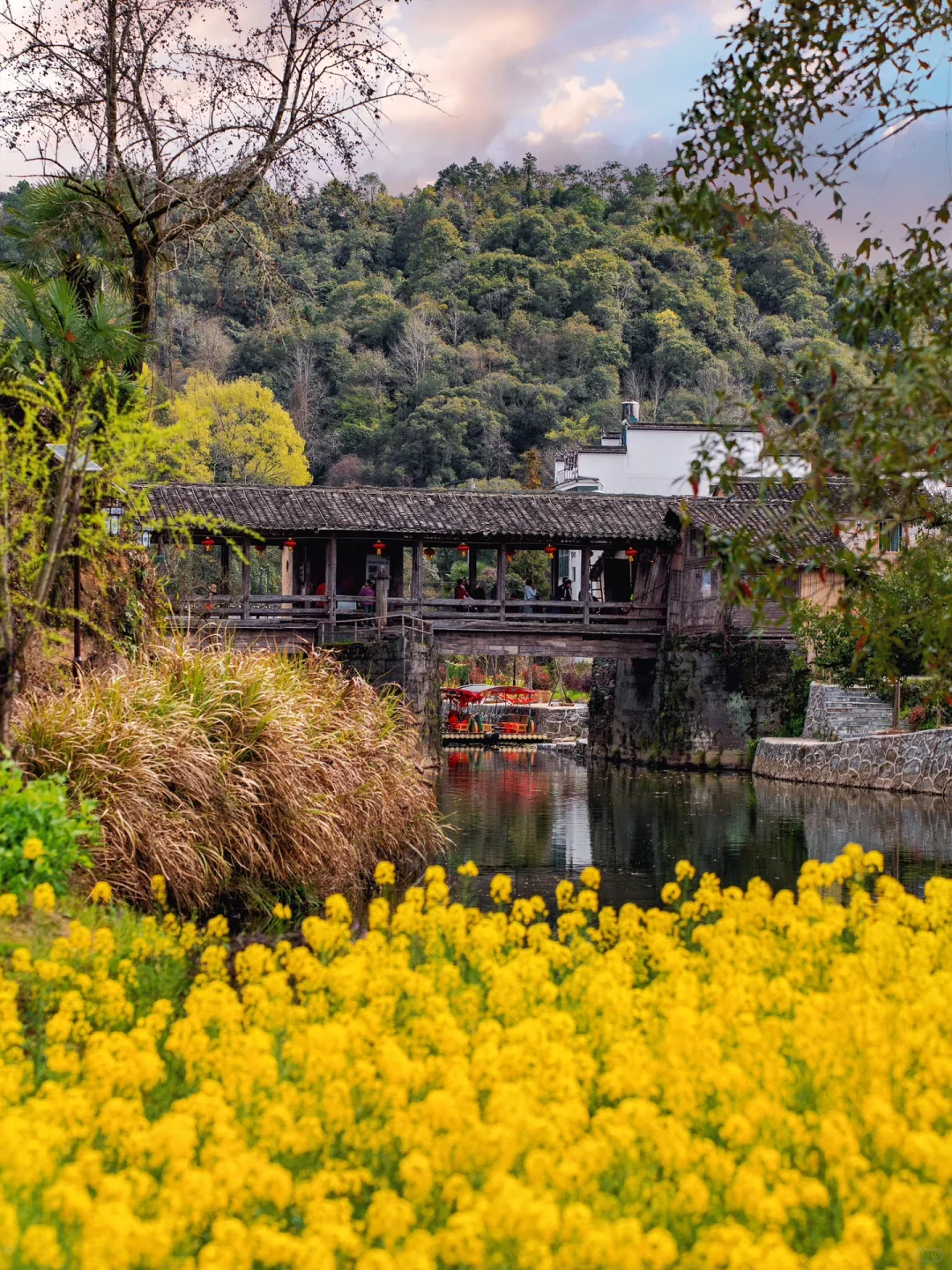 迄今为止，江西我最喜欢的春日旅行地出现了‼