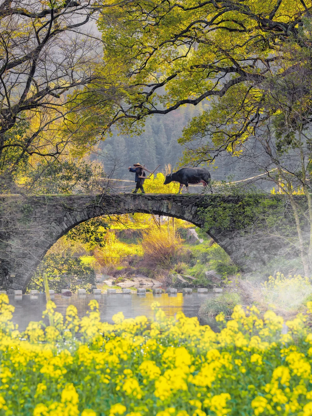 迄今为止，江西我最喜欢的春日旅行地出现了‼