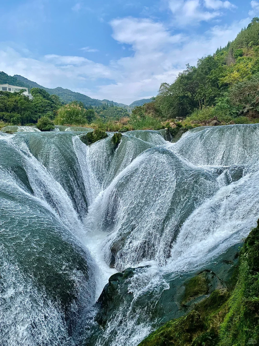 贵州已回，强力推荐我报的小团！（不是托）
