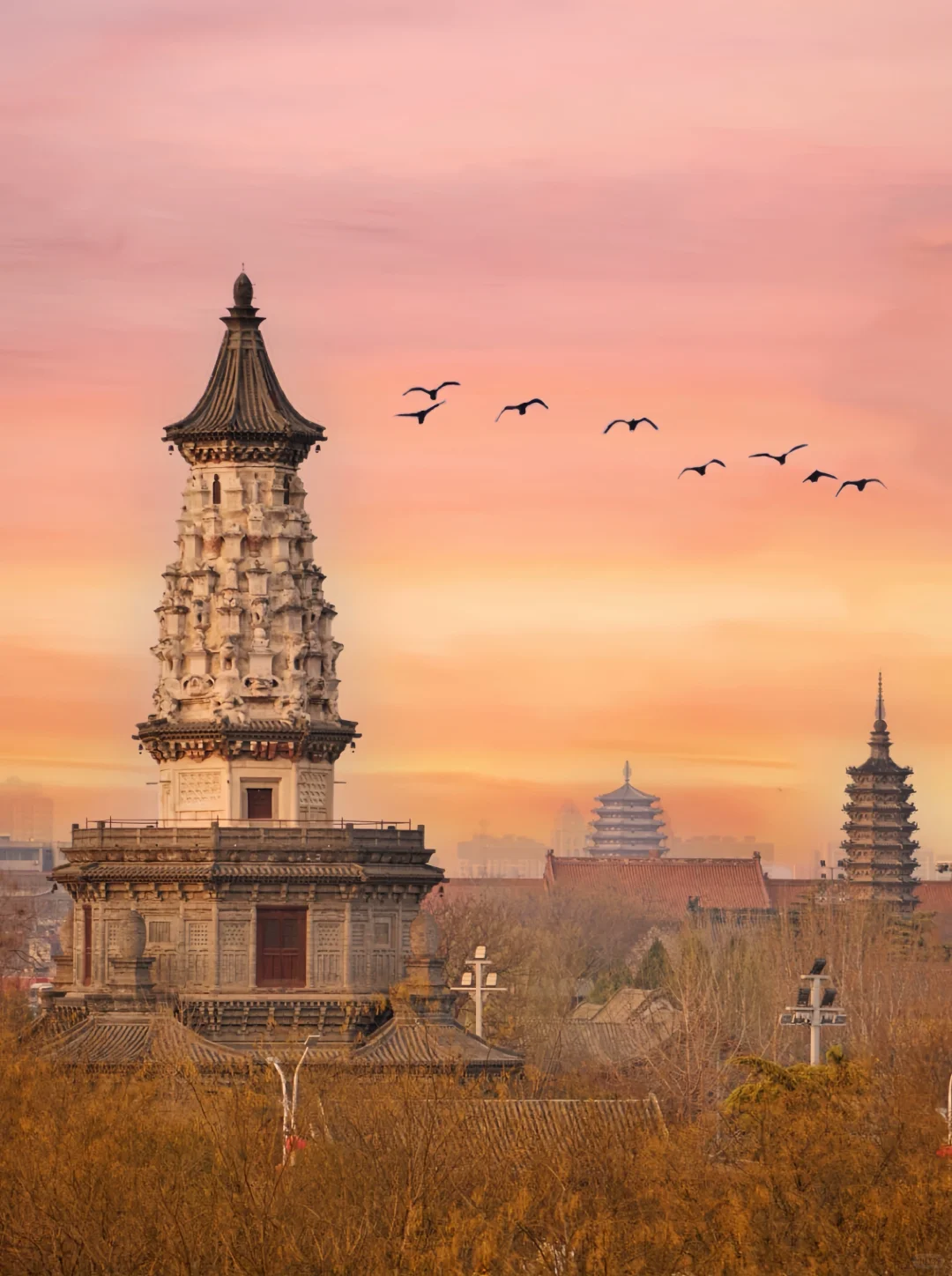 挑战每周逃离北京去旅行🦋第37站:正定