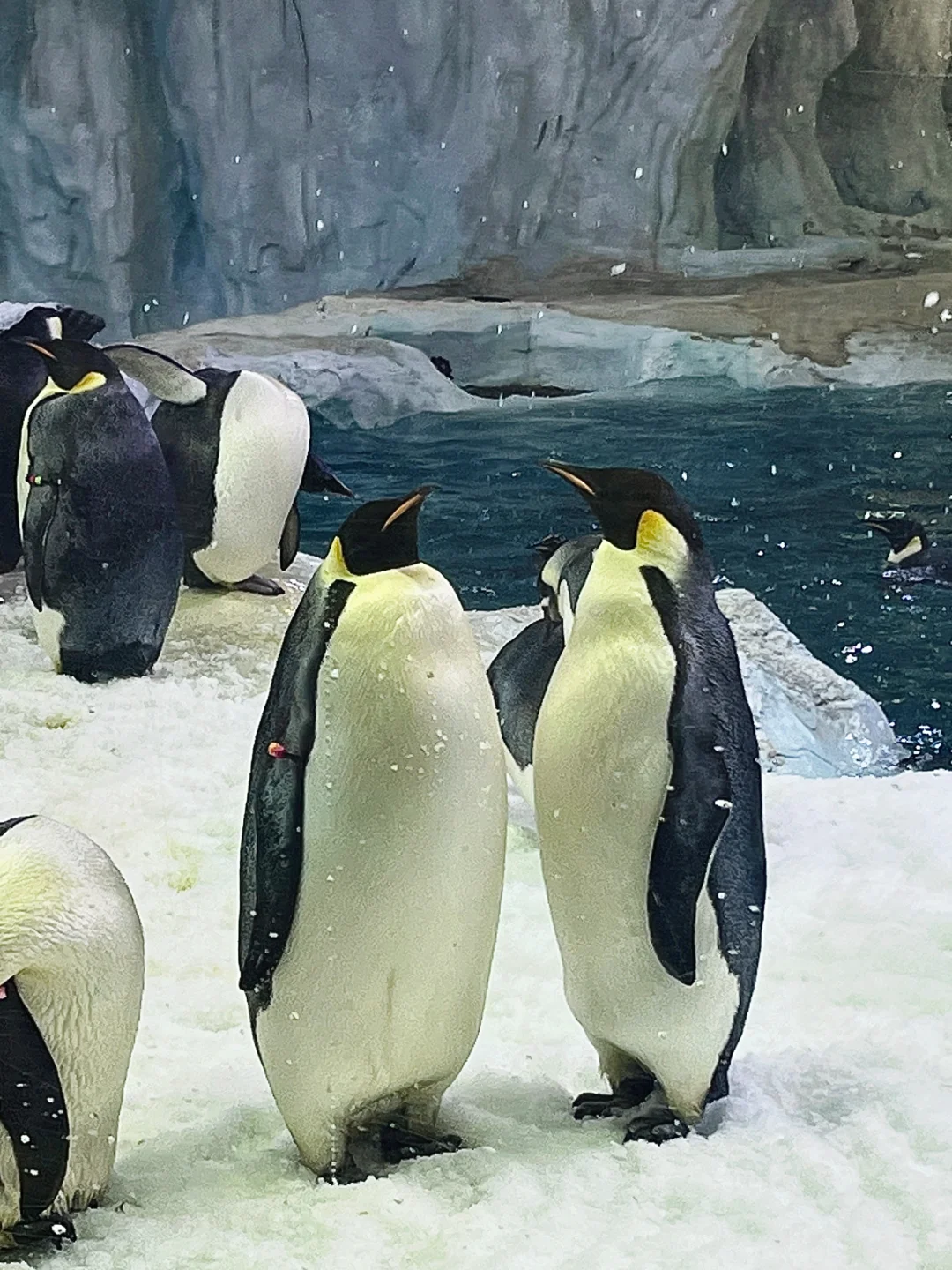 年终大促预定长隆酒店套票,比门票还便宜⁉