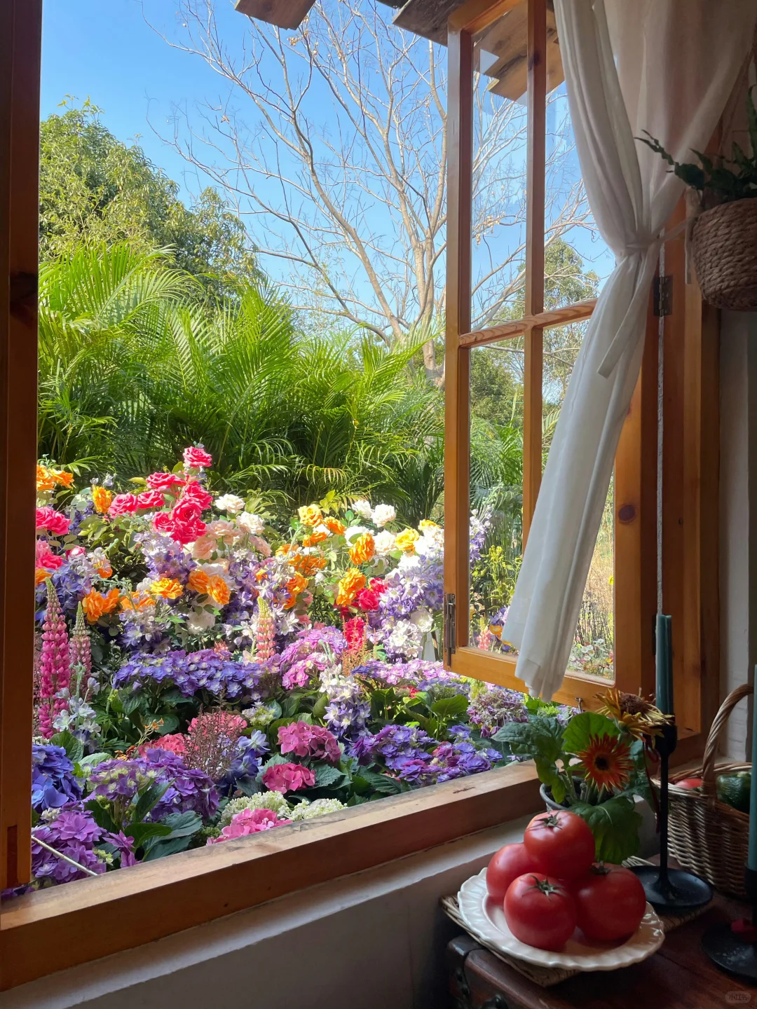 听劝🙋3-4月来宁波的姐妹🐎码住！！