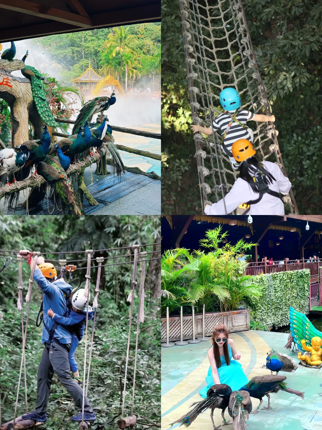 西双版纳淡季来了❗️姐妹们别犹豫，直接冲❗️