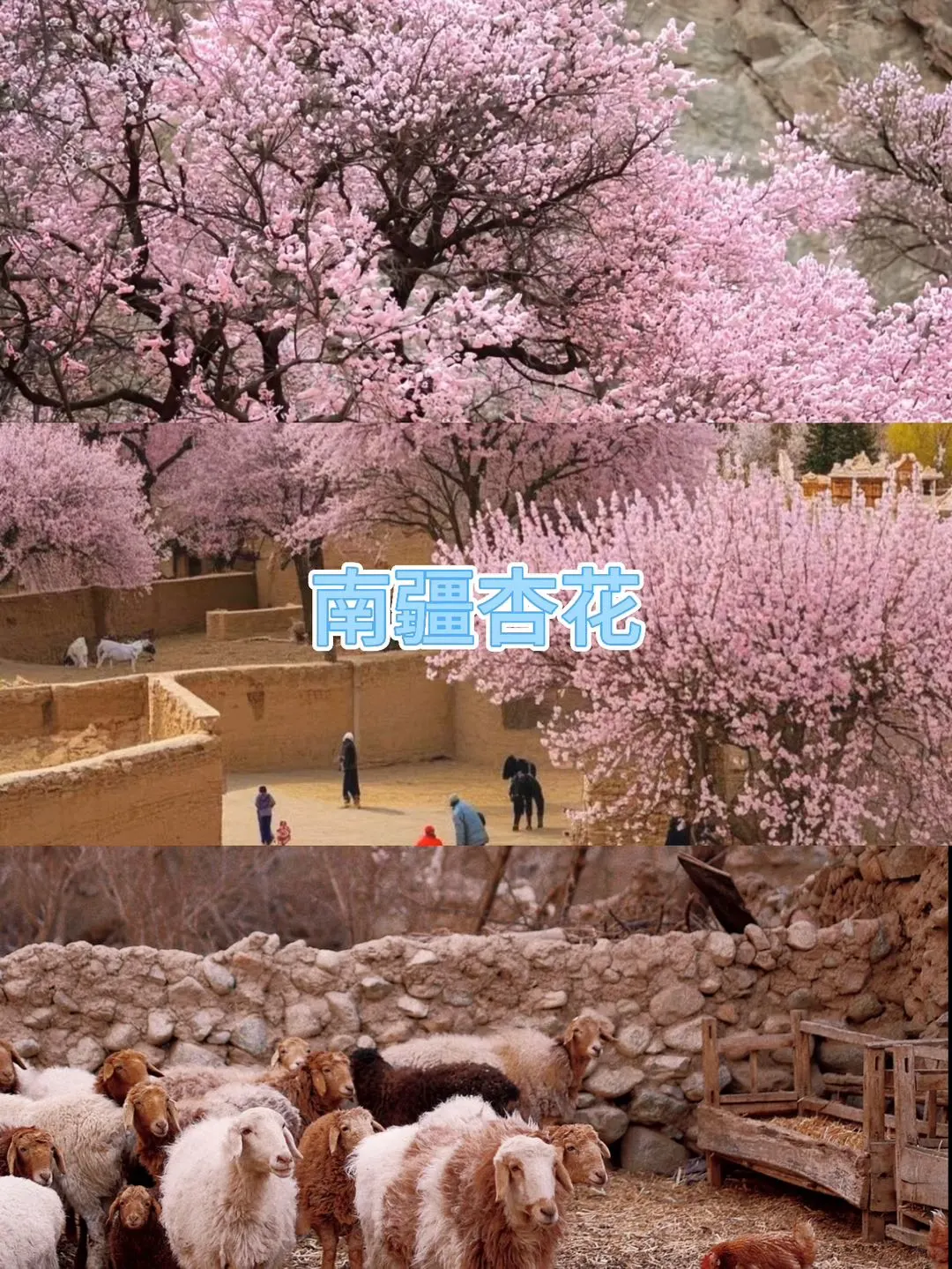 南疆定制游🔥不用做攻略,玩得超爽❗️