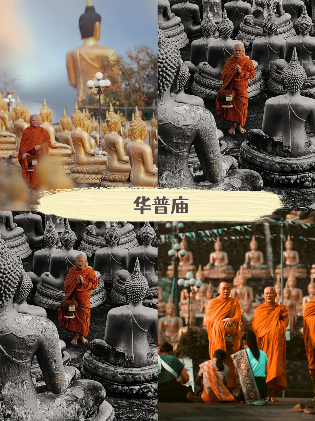 6-9月老挝四千美岛摄影旅游攻略