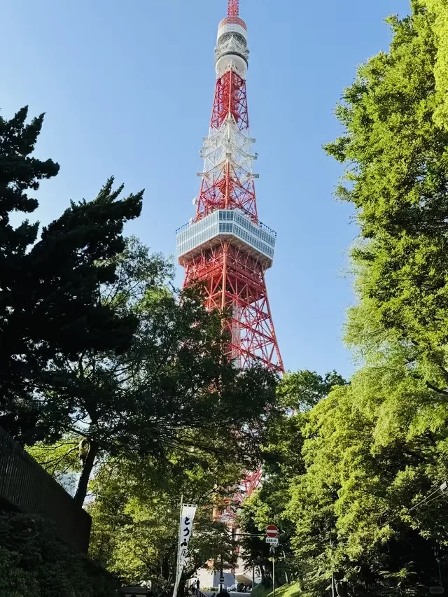 去日本玩了六天，我的消费观真的崩塌了....