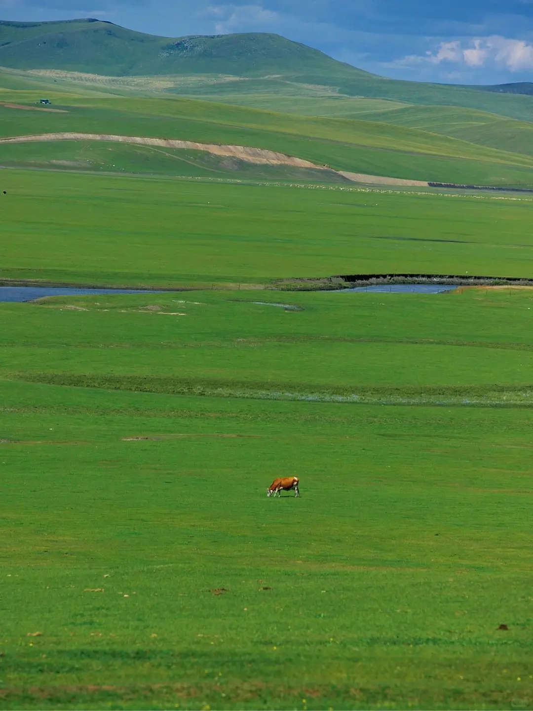 以为阿勒泰已经够美了，直到我去了内蒙古...