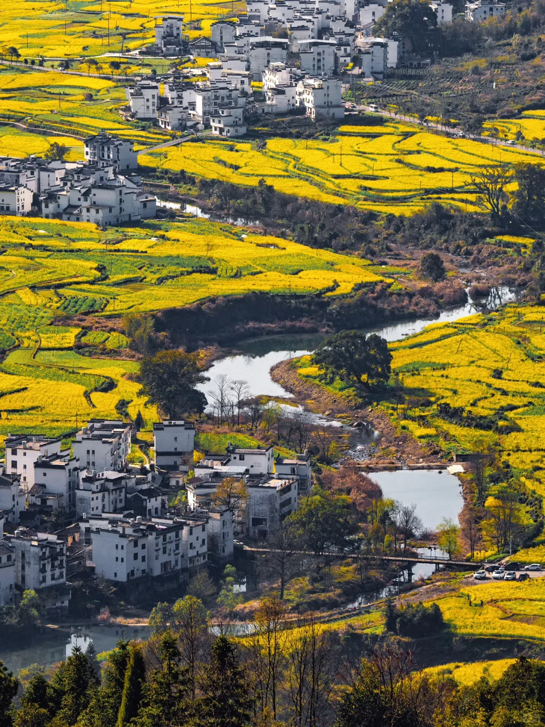 迄今为止，江西我最喜欢的春日旅行地出现了‼