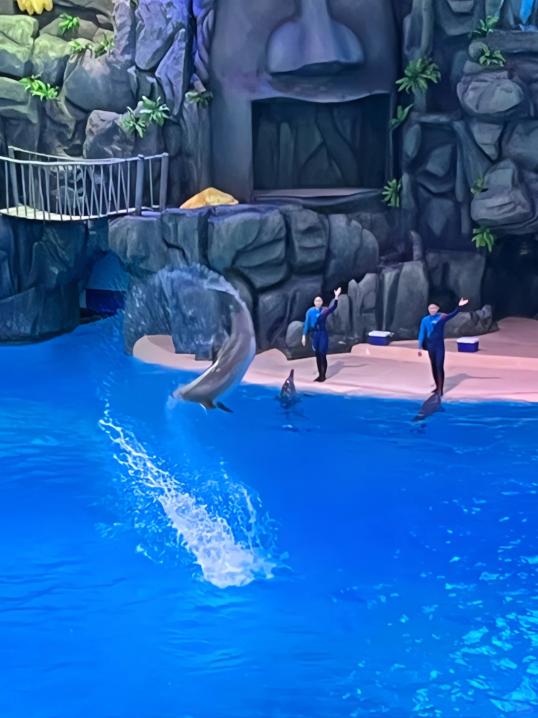 年终大促预定长隆酒店套票,比门票还便宜⁉