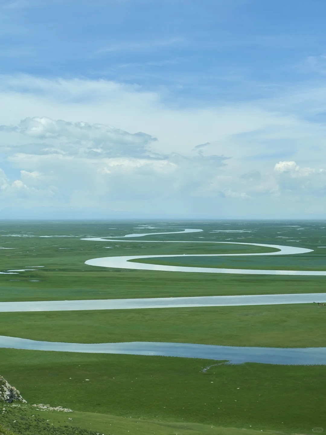 6月的伊犁是封神级别的夏天🍃