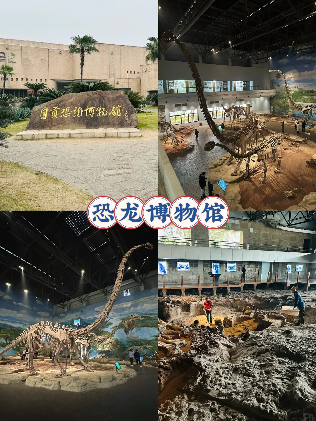 被问爆的自贡2日游攻略！春节要去自贡的码住