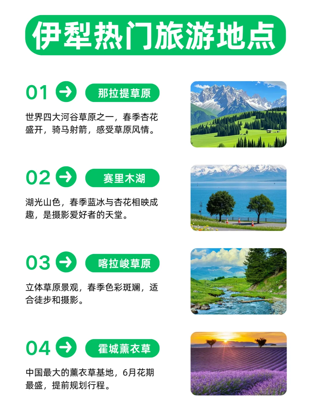 中老年友好❗❗伊犁人均800💰 狂拍100张