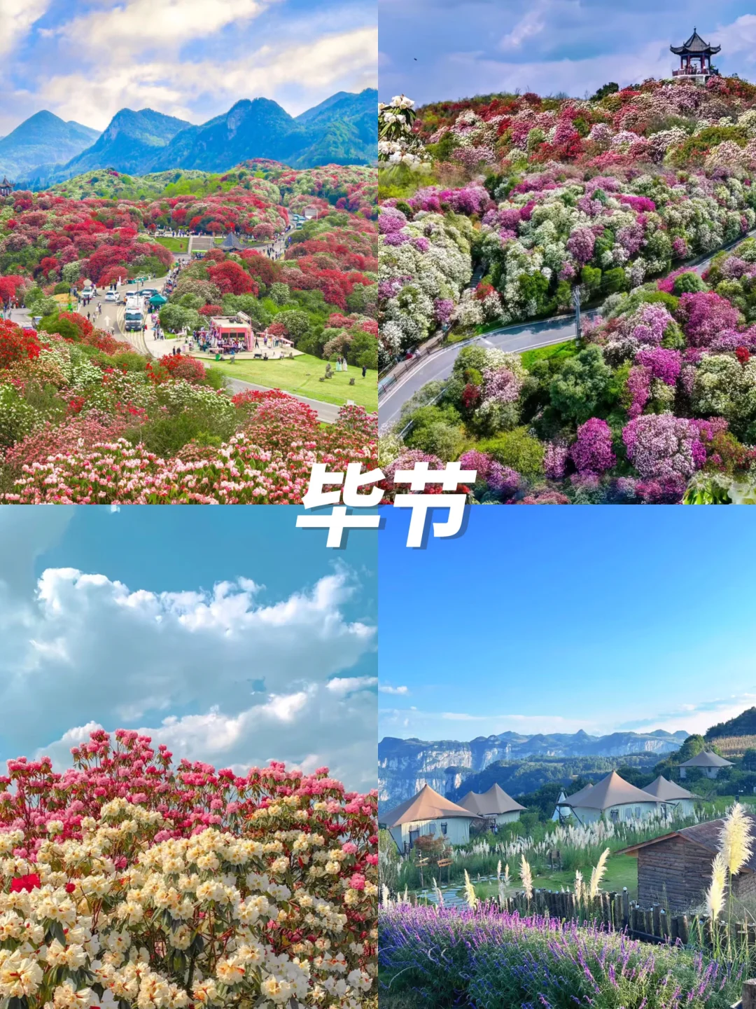 清明避开人潮‼️6个小众旅游城市推荐👏