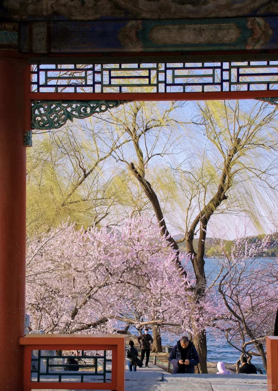 北京会惩罚不会预约的宝子😭