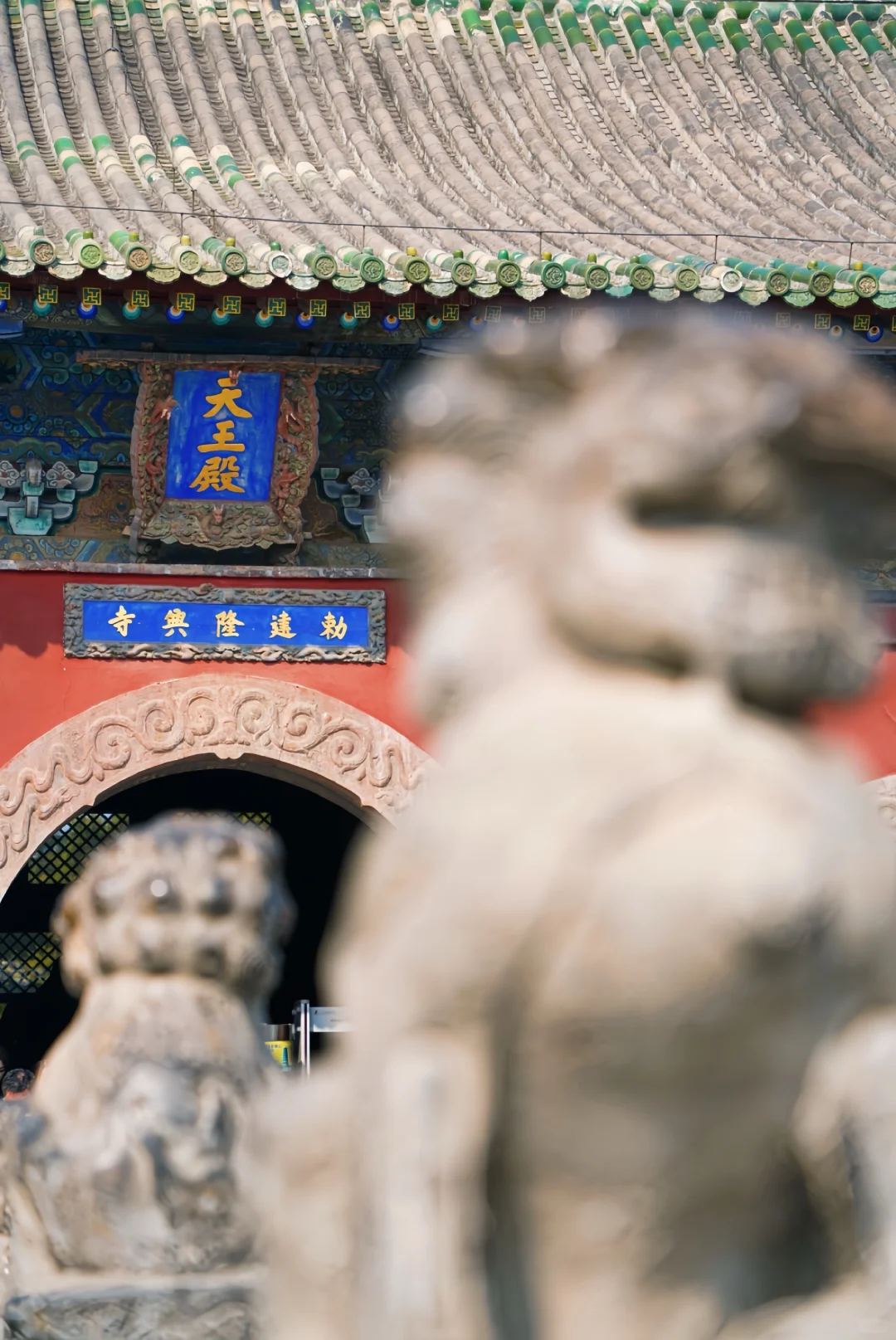 挑战每周逃离北京去旅行🦋第37站:正定