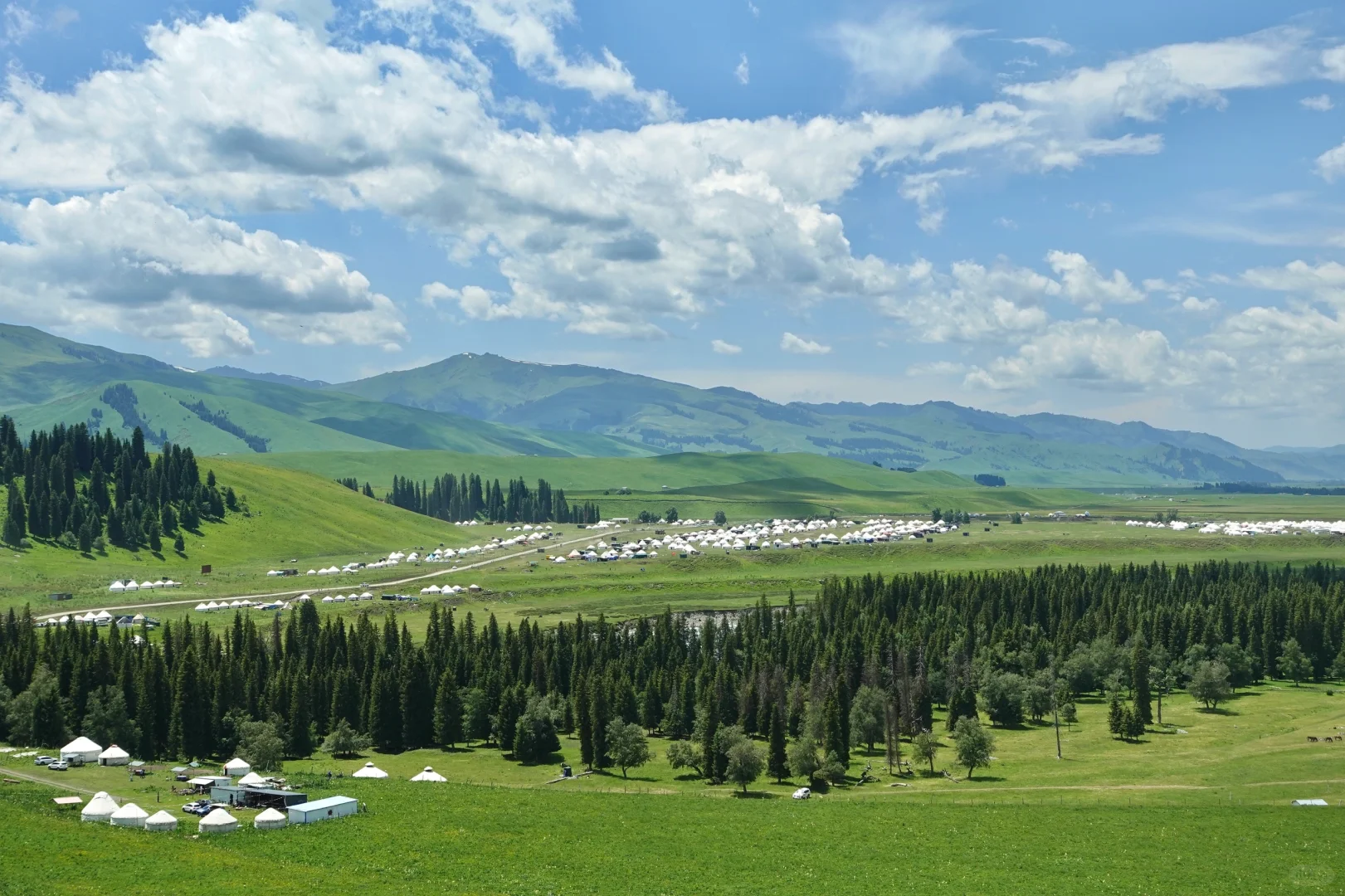 6月的伊犁是封神级别的夏天🍃
