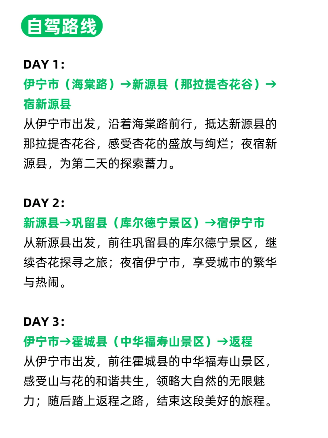 中老年友好❗❗伊犁人均800💰 狂拍100张