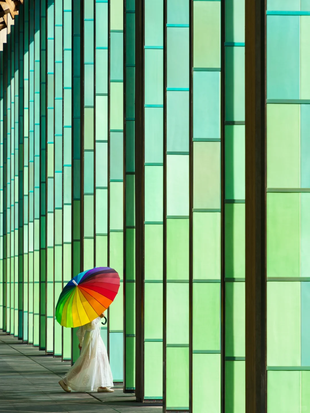 比起西湖🌸我更爱这条春游赏花citywalk