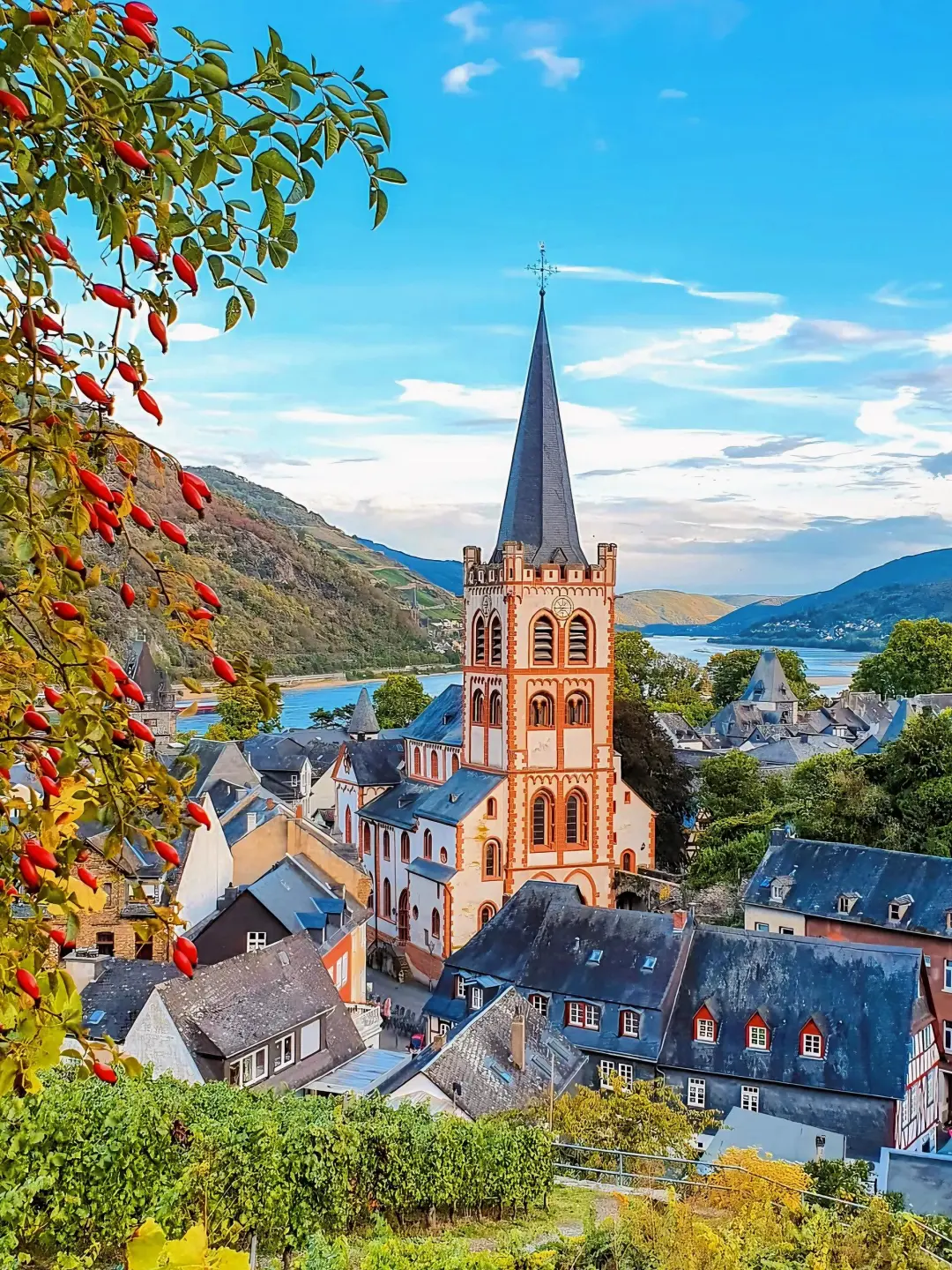 德国莱茵河畔🇩🇪从童话书里出来的小镇!