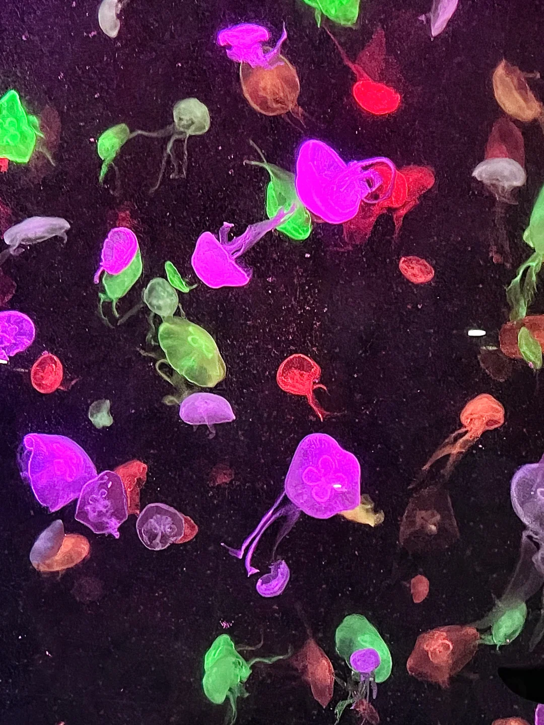 年终大促预定长隆酒店套票,比门票还便宜⁉