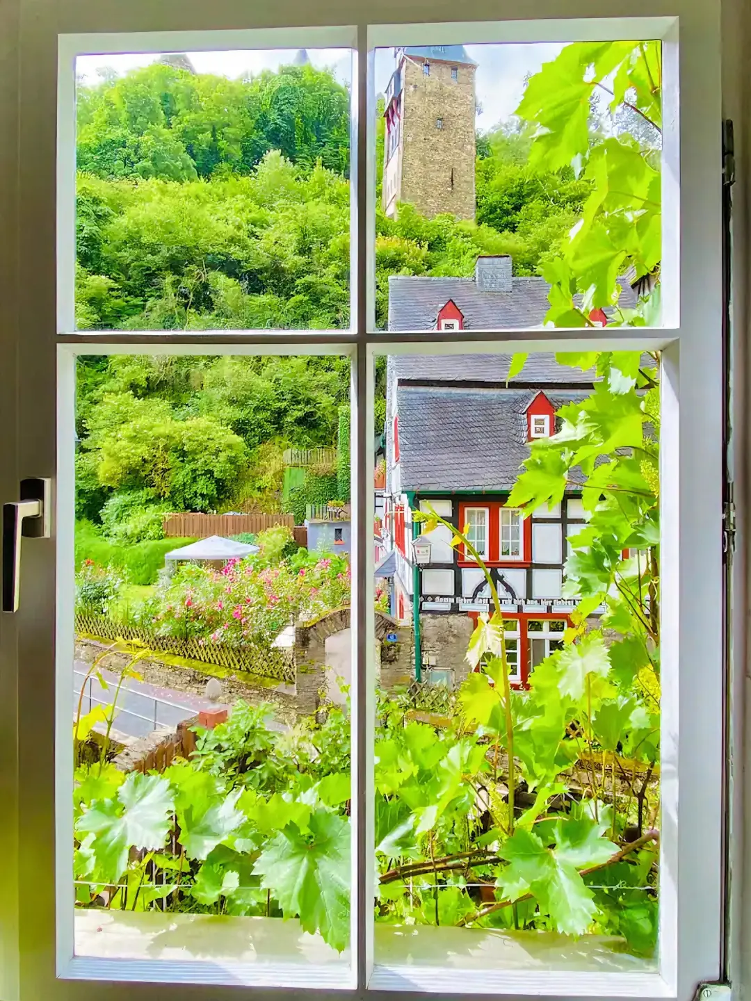 德国莱茵河畔🇩🇪从童话书里出来的小镇!