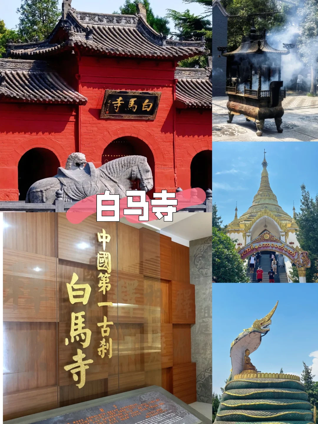 梦回大唐🌸洛阳牡丹|3天2晚旅游攻略