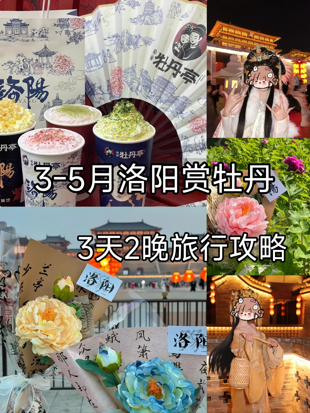 梦回大唐🌸洛阳牡丹|3天2晚旅游攻略