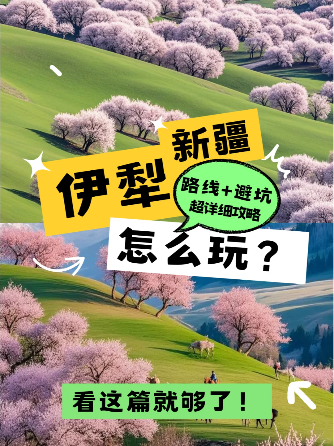 中老年友好❗❗伊犁人均800💰 狂拍100张